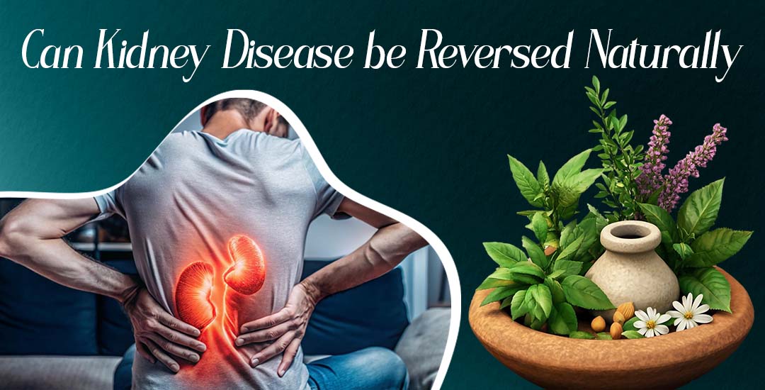 Can Kidney Disease Be Reversed? Stages, Treatment & Natural Ways